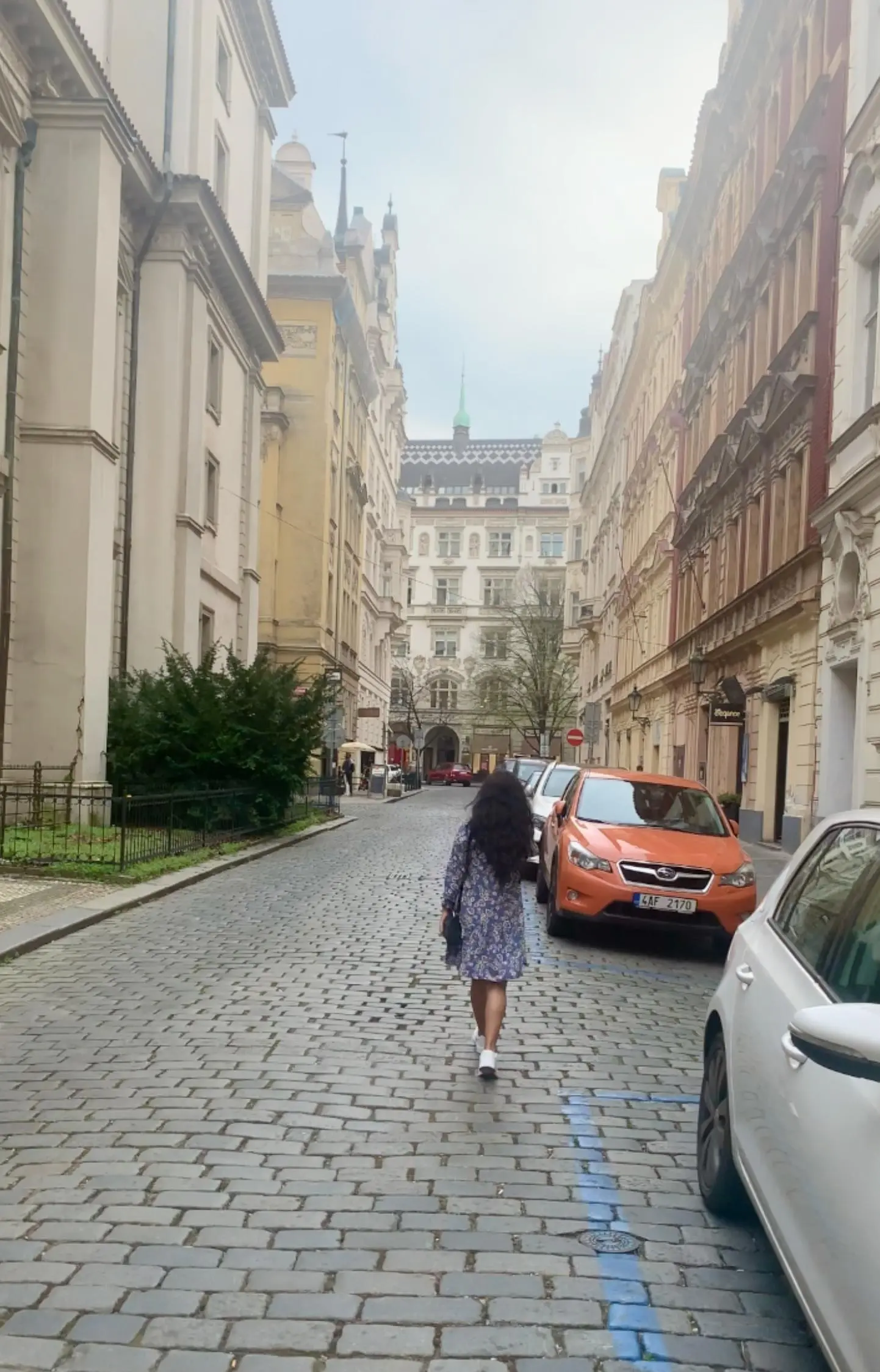 City Guides