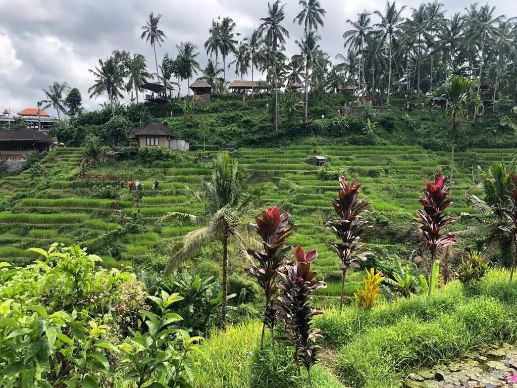 Indonesia