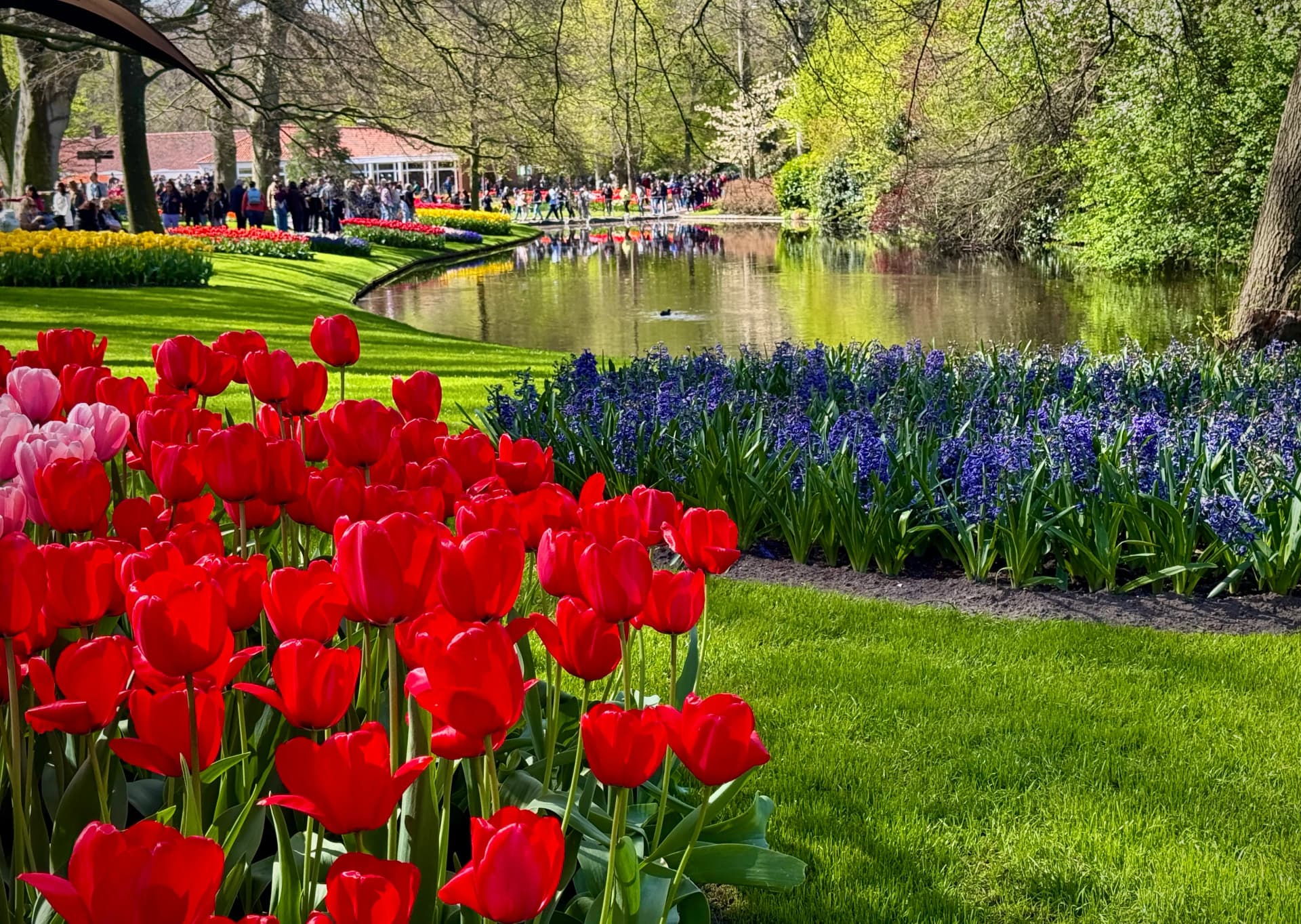 Keukenhof Gardens
