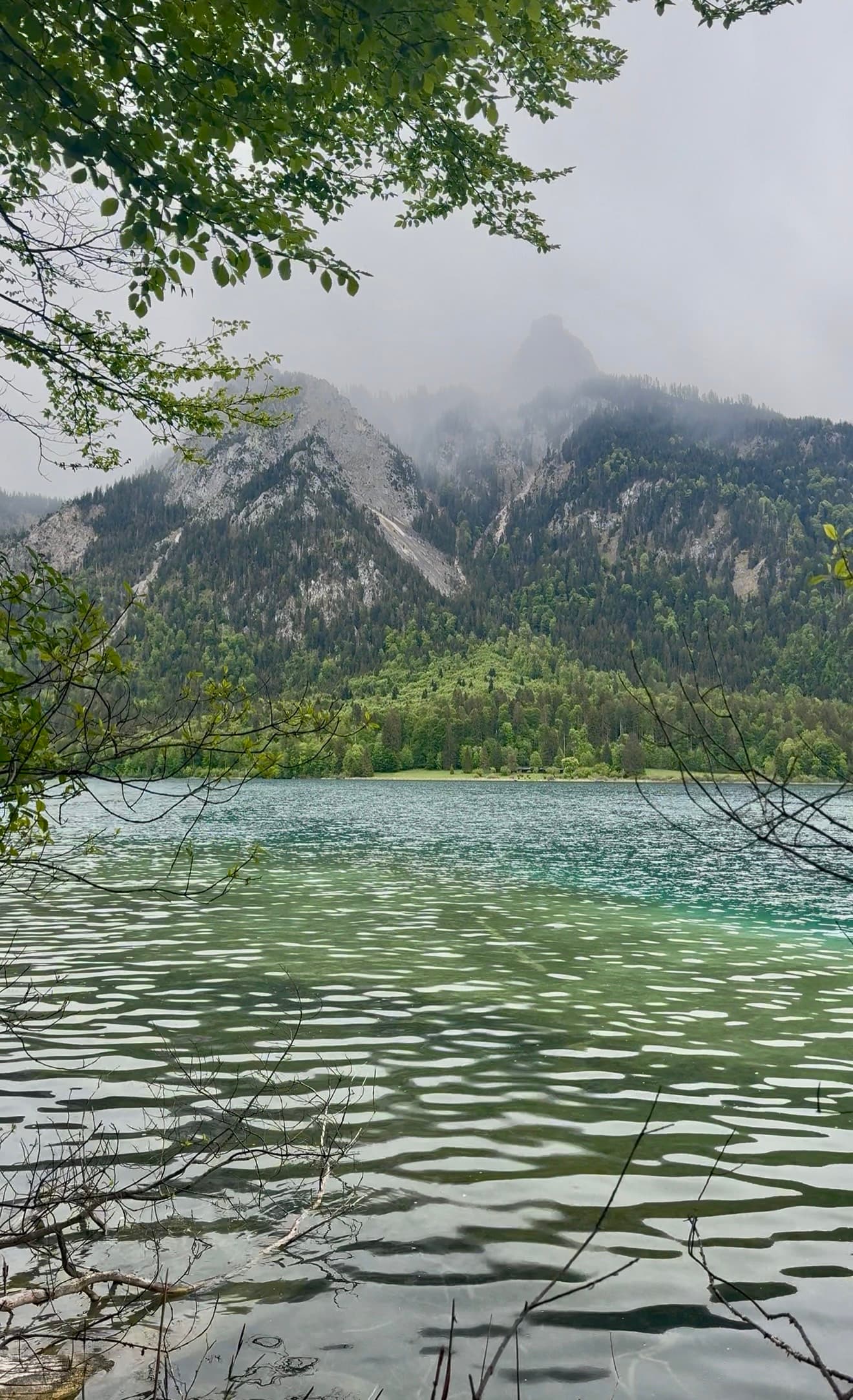 Alpsee lake loop view with mountains