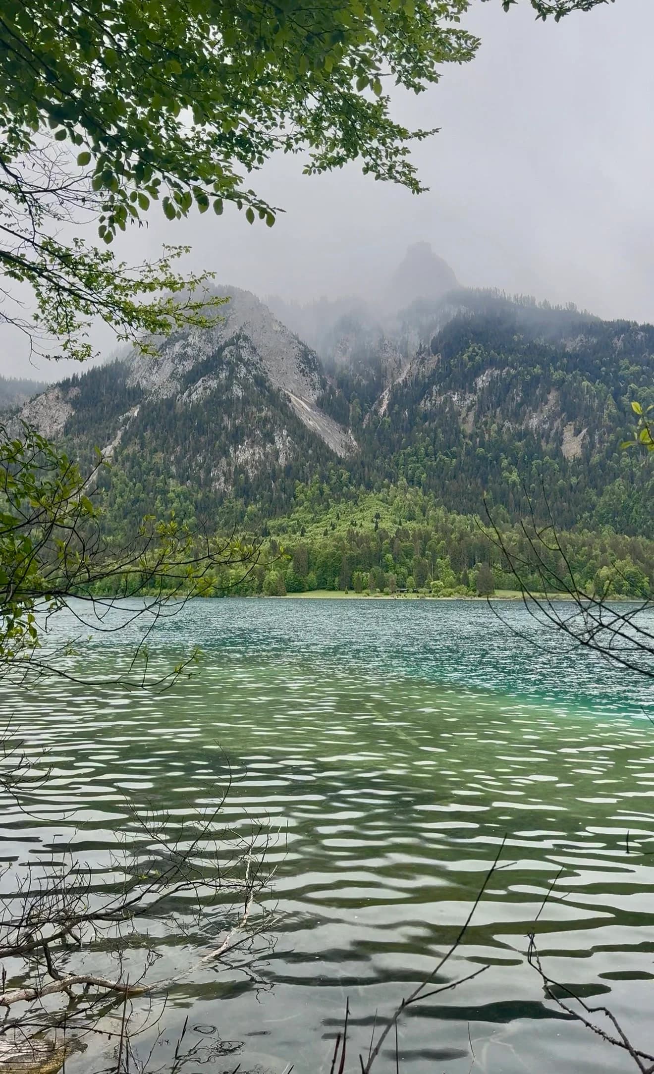 Alpsee lake loop view with mountains