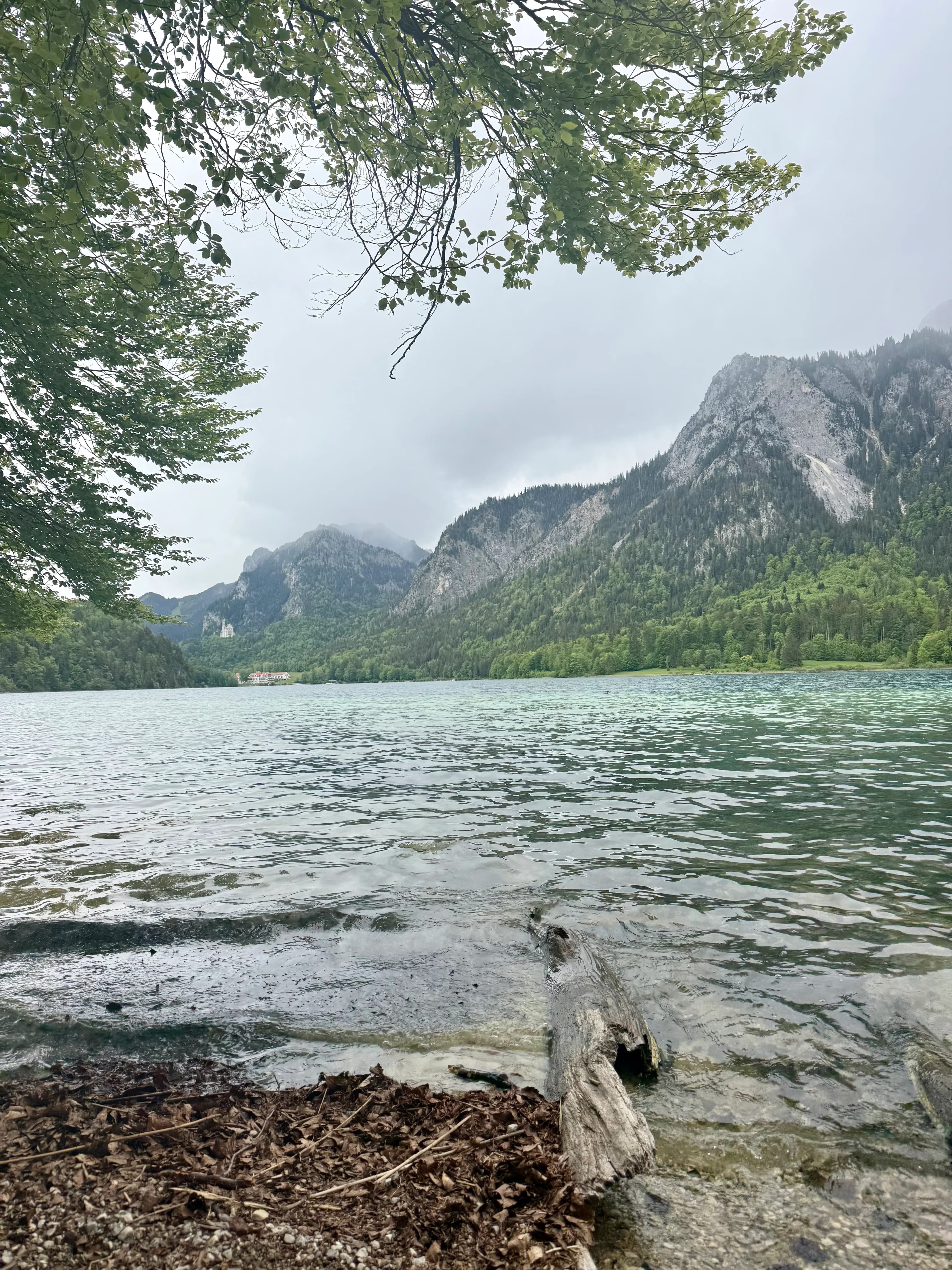 Alpsee lake loop near Hohenschwangau