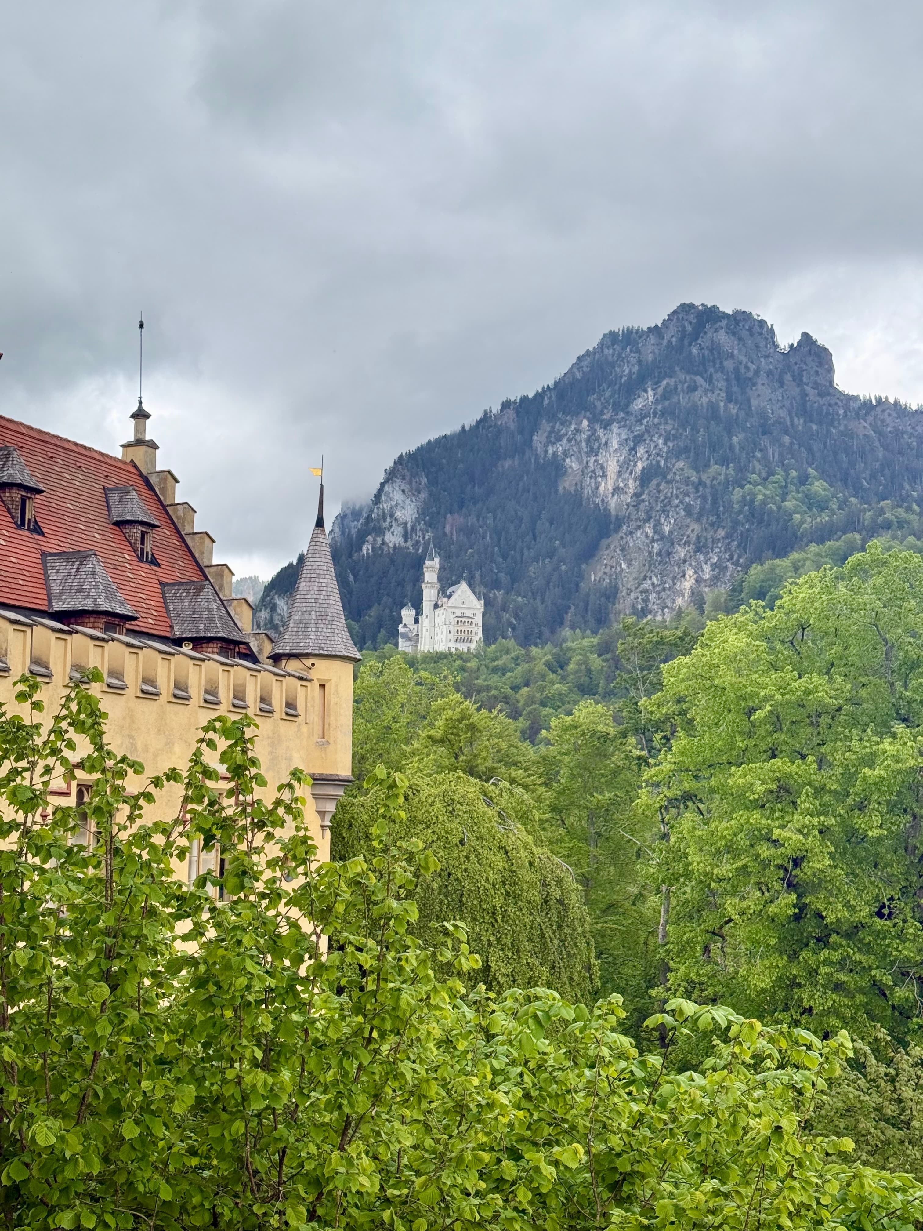Neuschwanstein Castle with Bavarian mountains and forest