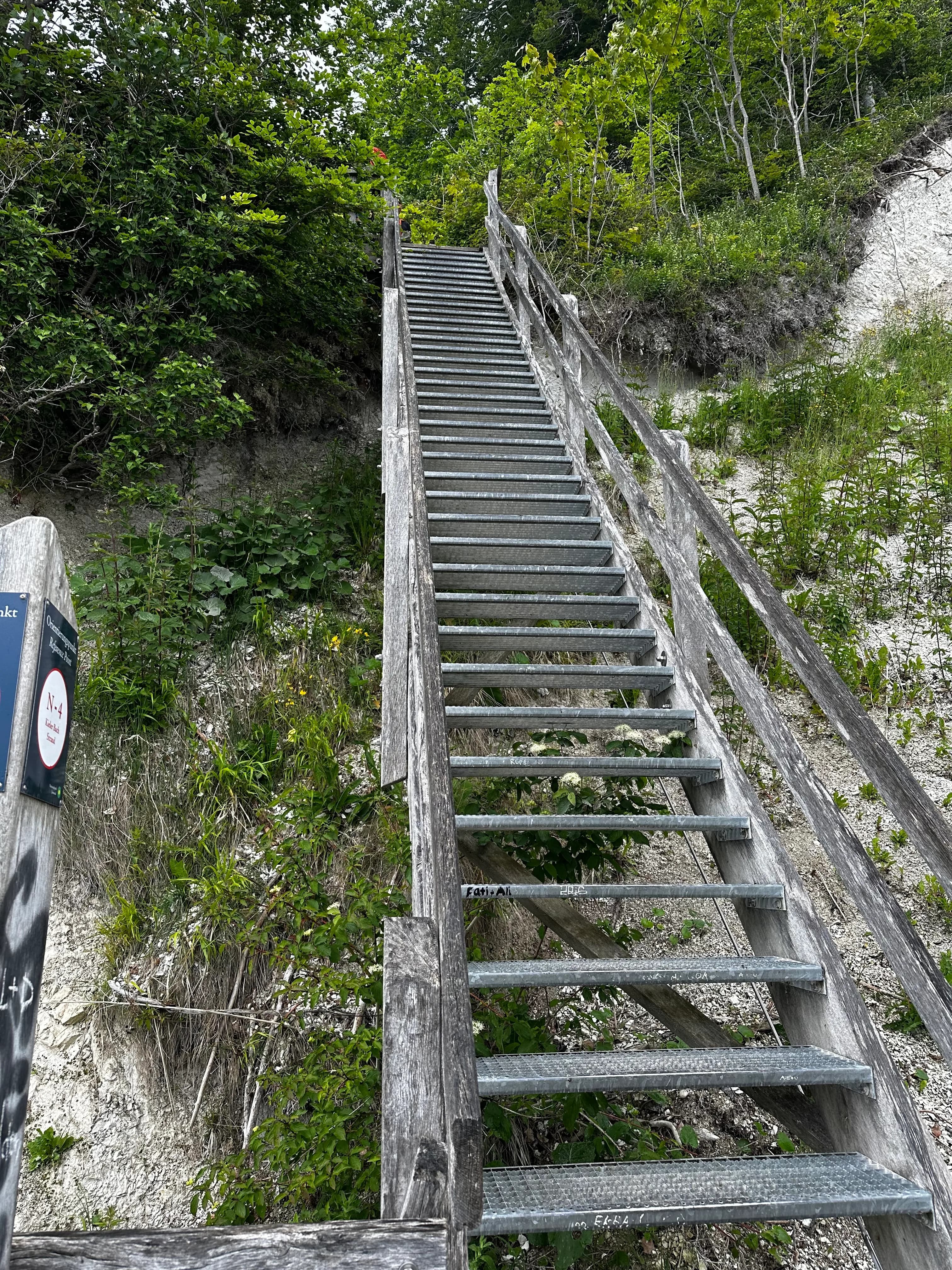 Stairs beside Wasserfall Kieler Bach leading from the shore into the forest