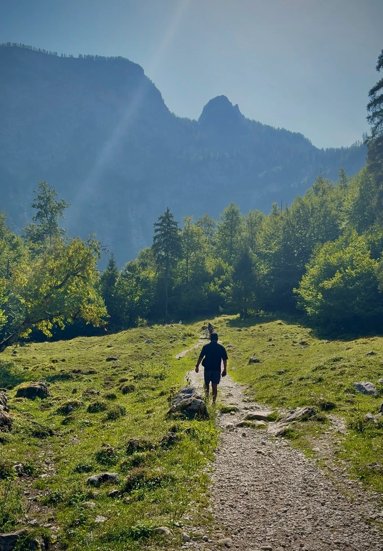 Exposed alpine meadow on the hike towards Röthbachfall