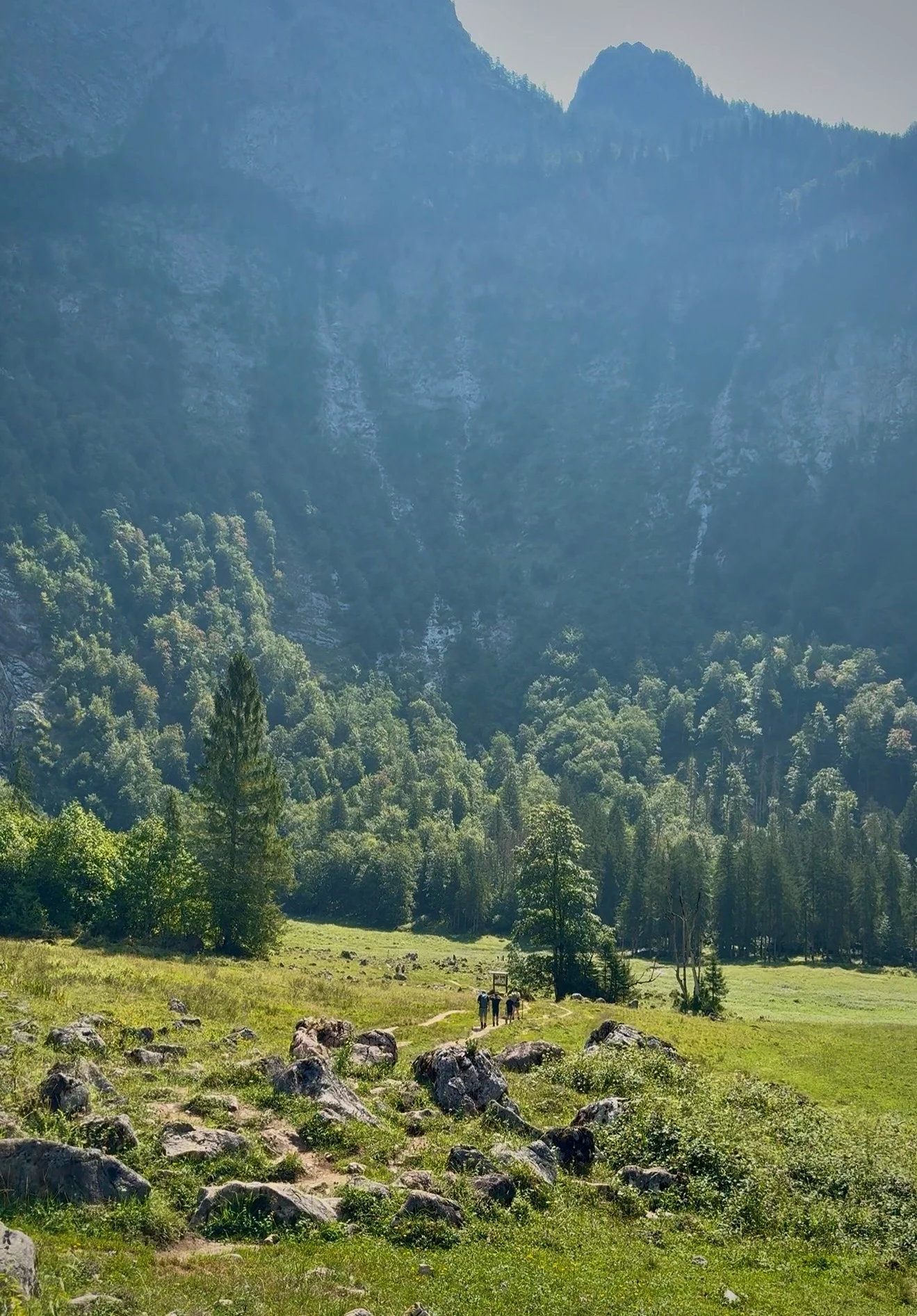 Open meadow towards Röthbachfall with mountain walls at the end of the valley