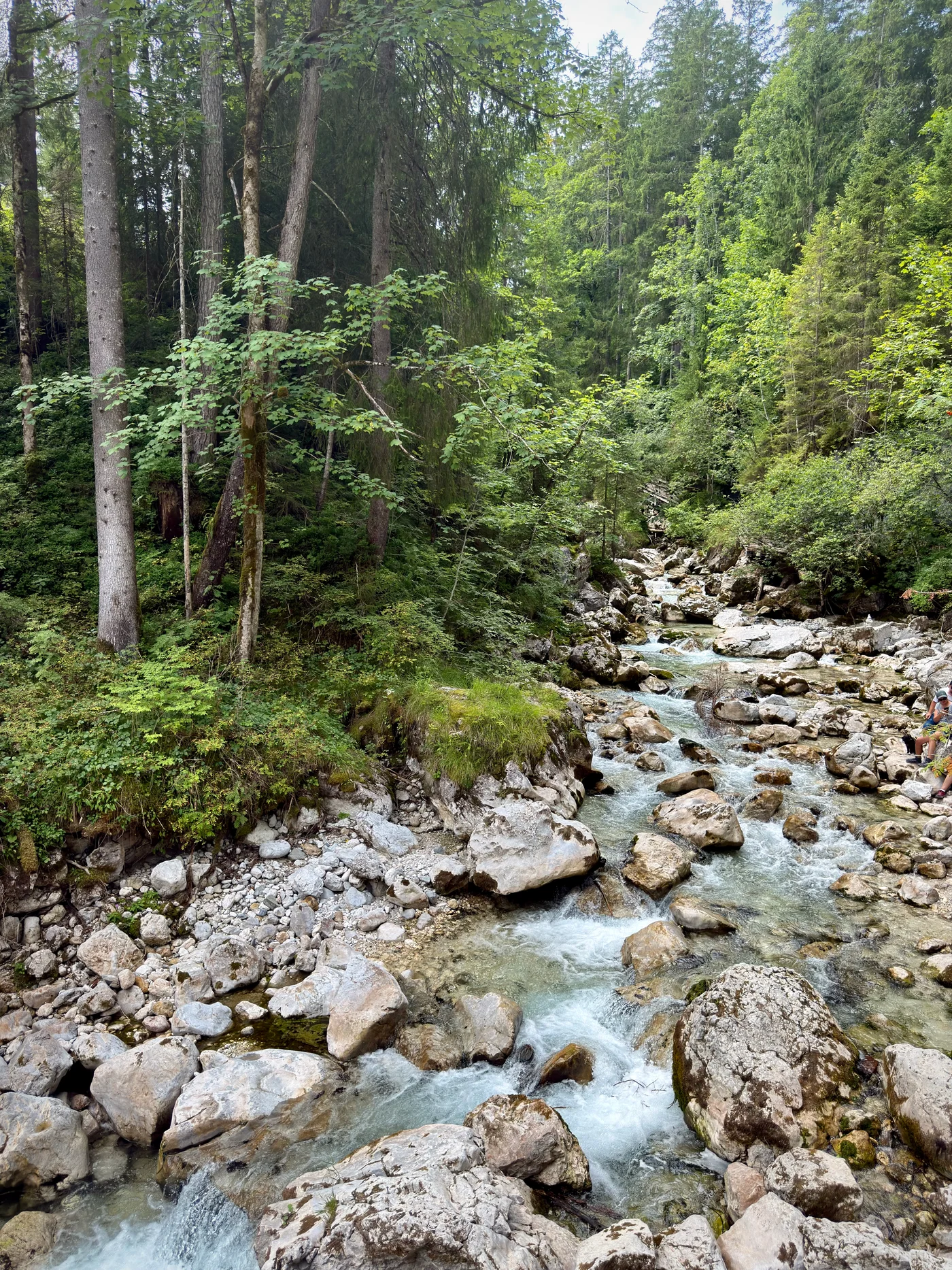 Clear water of the Ramsauer Ache between stones and forest near Ramsau
