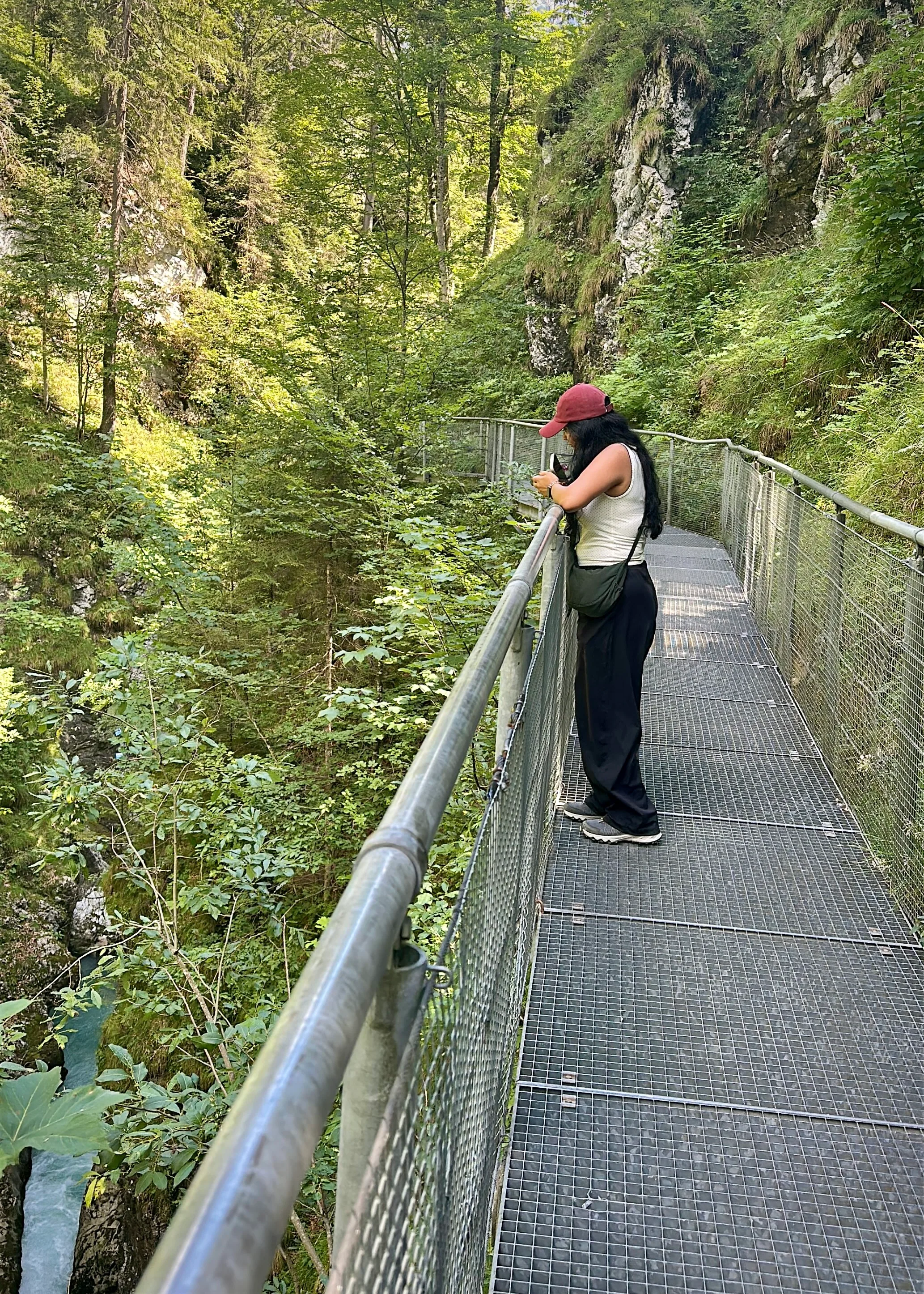 Panorama Bridge